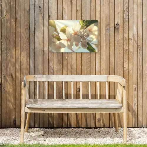 Bloesems - Wit - Zonnestralen -  Bloemblaadjes Tuinposter op houten frame 2 cm dik klein -sfeer4