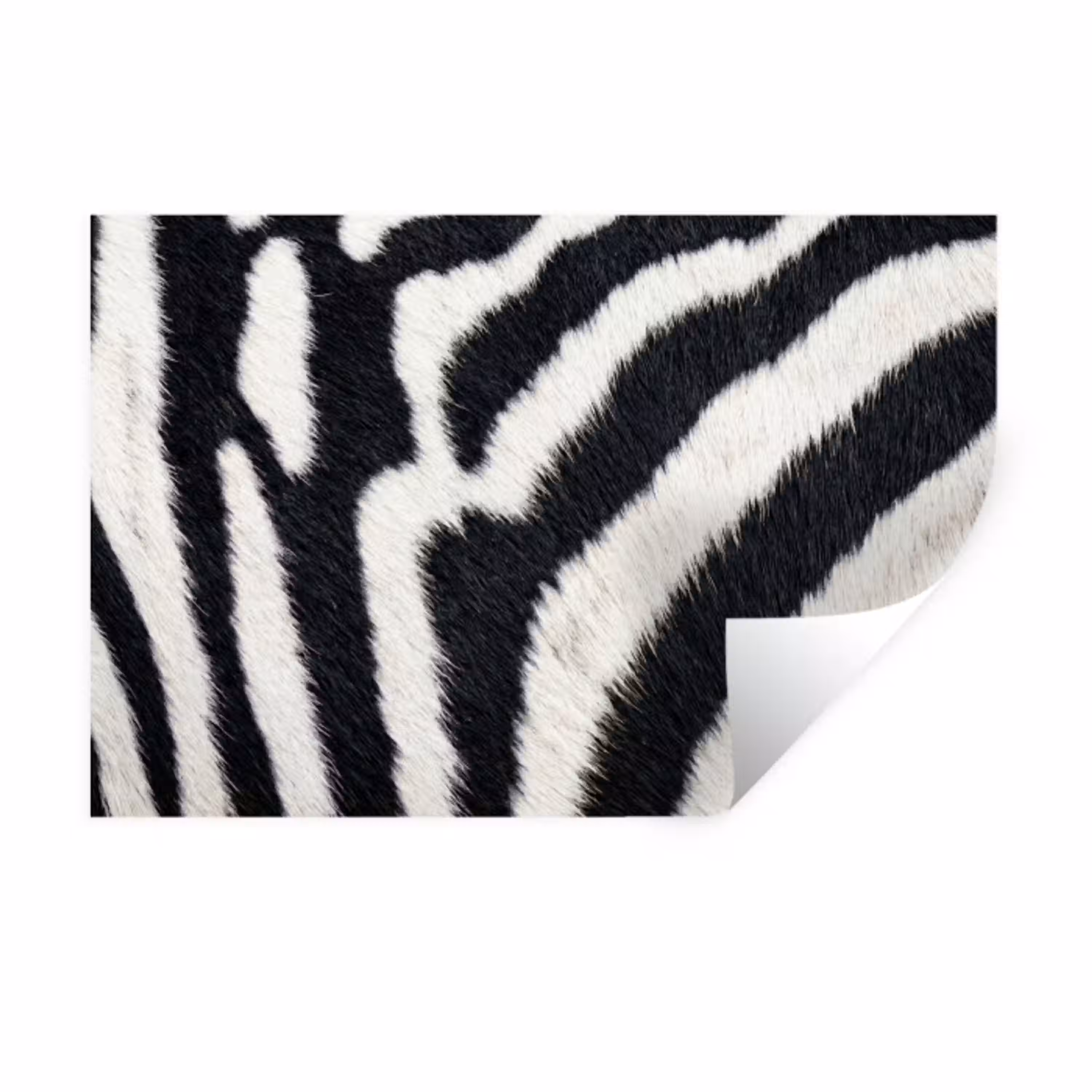 Zebra - Vacht - Klassiek - Zwart - Wit Muursticker klein -3d
