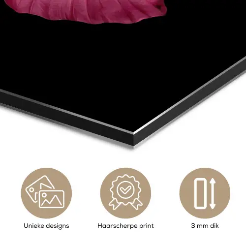 Vlinder - roze - Elegant aluminium wit klein -closeup_NL
