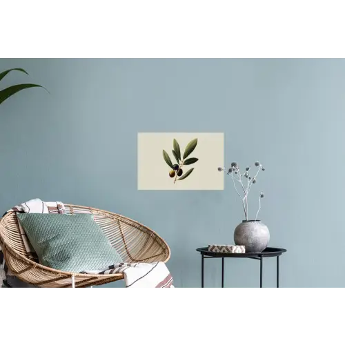 Olijftak - Donkergroen - Olijven Muursticker klein -plant