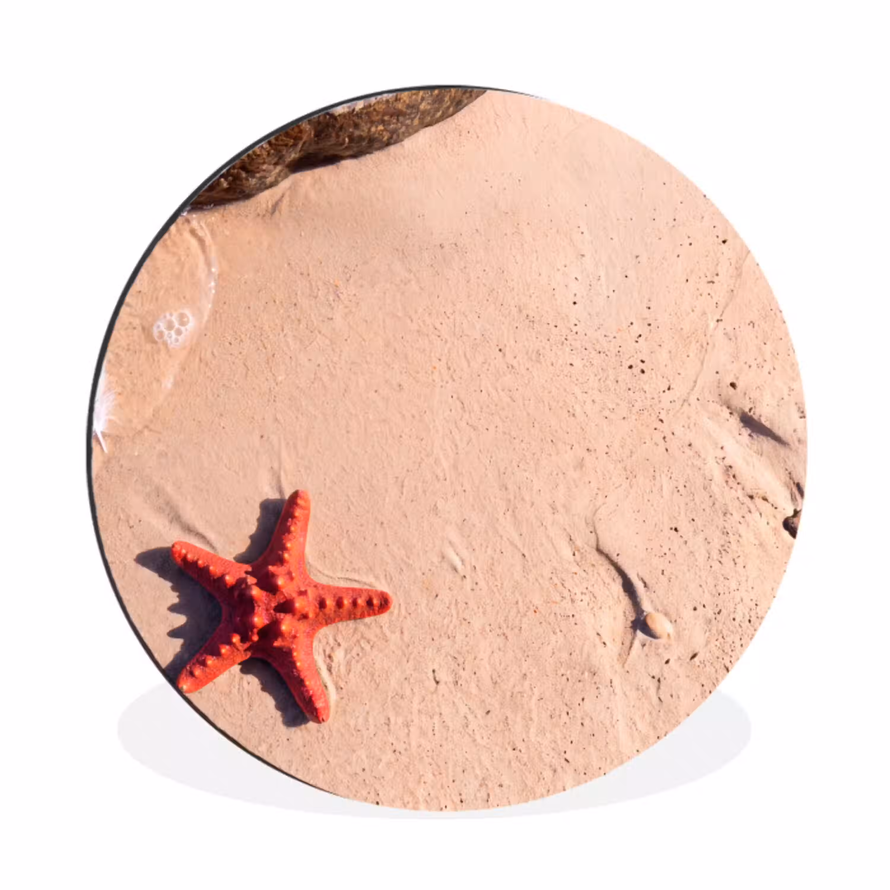 Dieren - Strand - Zee - Natuur - Rood Wandcirkel aluminium klein -3d