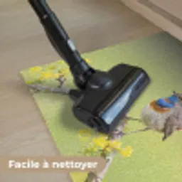 Vogel - Tak - Natuur - Kleurrijk Deurmat klein -reinigen_FR