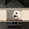 Uil - Bruin - Wit keuken achterwand spatscherm klein -sfeer1