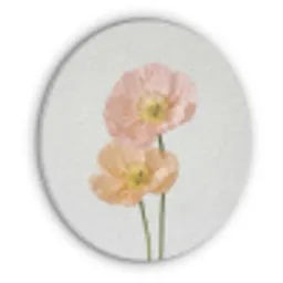 Papavers - Botanisch - Roze Akoestische PET Vilt - Rond klein -3d