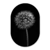 Paardenbloem - Zwart - Bloemen - Botanisch Wandcirkel Ovaal Forex klein -3d