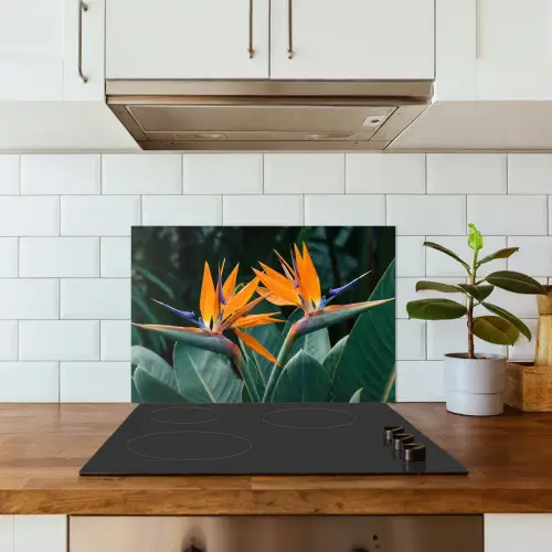 Paradijsvogel - Bloem - Exotisch keuken achterwand spatscherm klein -sfeer2