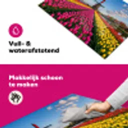 Tulpen - Holland - Molen - Kleurrijk Inductie beschermer vinyl 3mm klein -wsfeer6_website