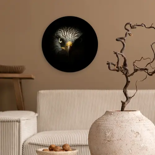 Vogel - Adelaar - Roofvogels - Oog - Snavel - Licht Wandcirkel kunststof plaat 5mm dik klein -sfeer1