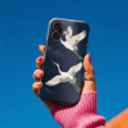 Kraanvogels - Nachthemel - Blauw Toughcase MagSafe Apple iPhone 17 klein -Sfeer1V