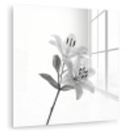 Lelies - Elegant - Zwart - Wit plexiglas 5mm klein -zzzproduct_nieuw