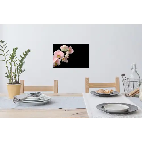 Orchidee - Bloemen - Roze - Stilleven - Flora Muursticker klein -eettafel