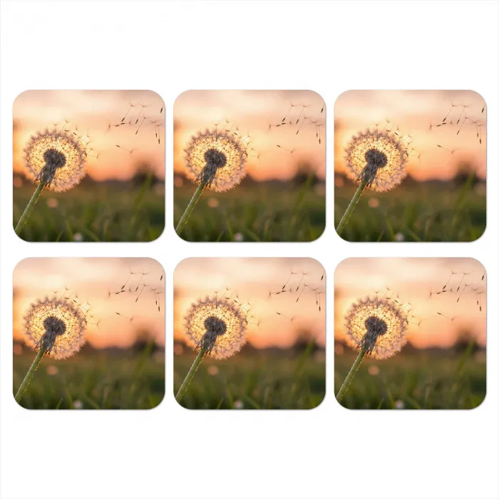Paardenbloem - Zonsondergang - Veld onderzetter kurk middel -3d