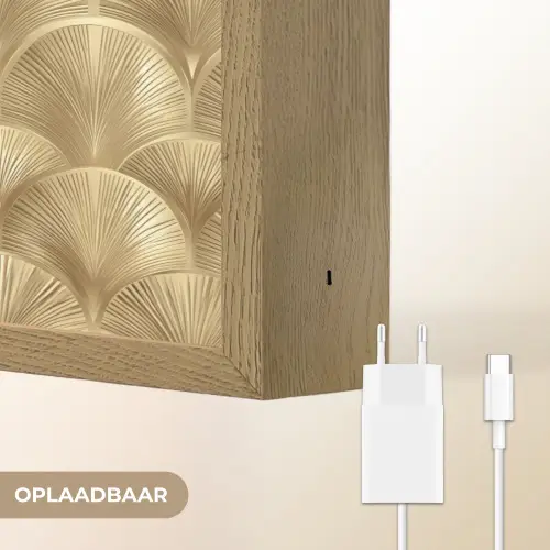 Patroon - Waaier -  Goud Light Box met batterij (Wandlamp) middel 907 -USP_websiteoplaadbaarNL
