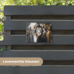 Leeuw - Portret - Verfspatten - Grijs tuinposter los doek klein -sfeer3