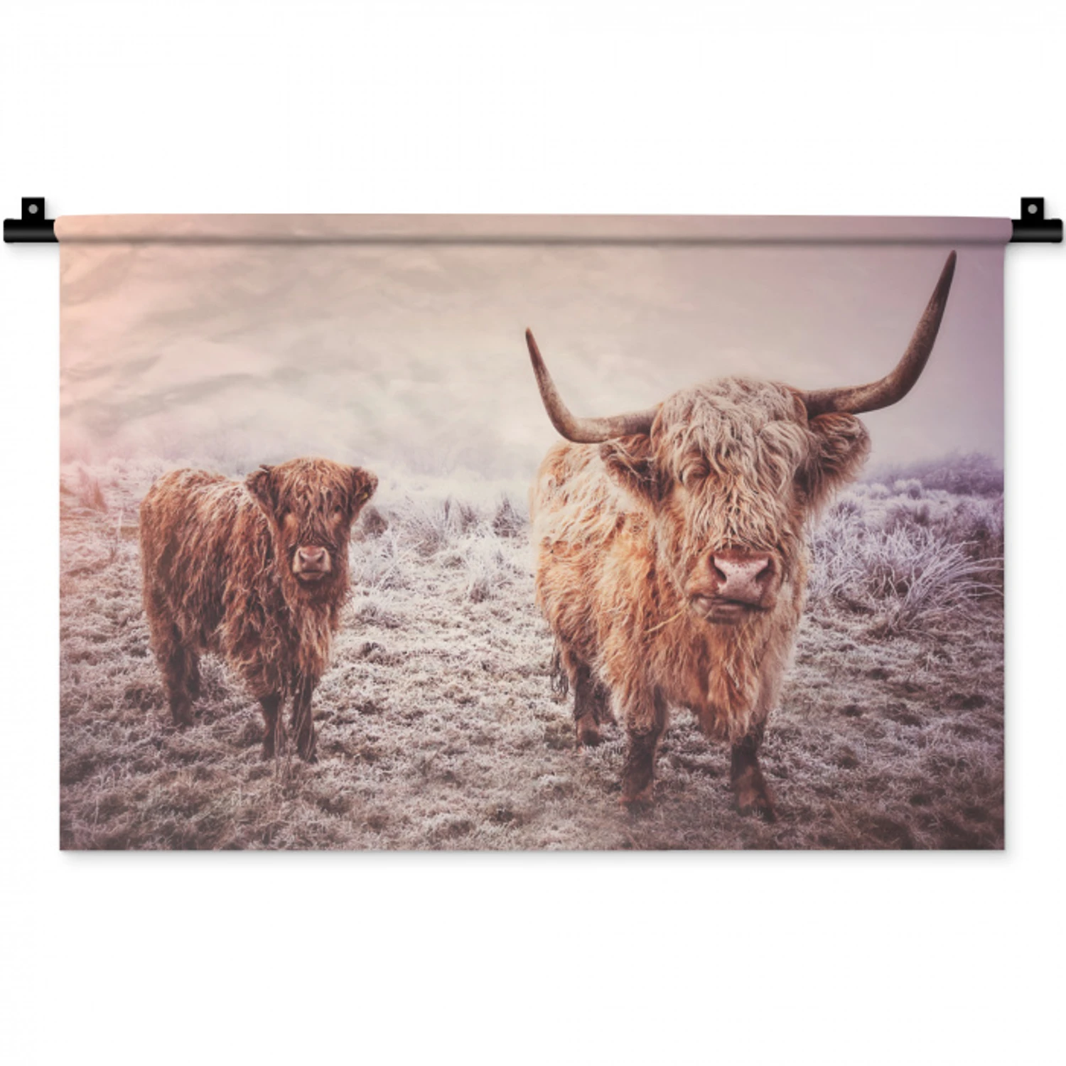 Schotse hooglanders - Licht - Lucht - Natuur Wandkleed katoen klein -zz3d