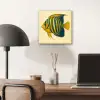 Felgeel - Vis - Strepen - Vinnen aluminium wit klein -sfeer5