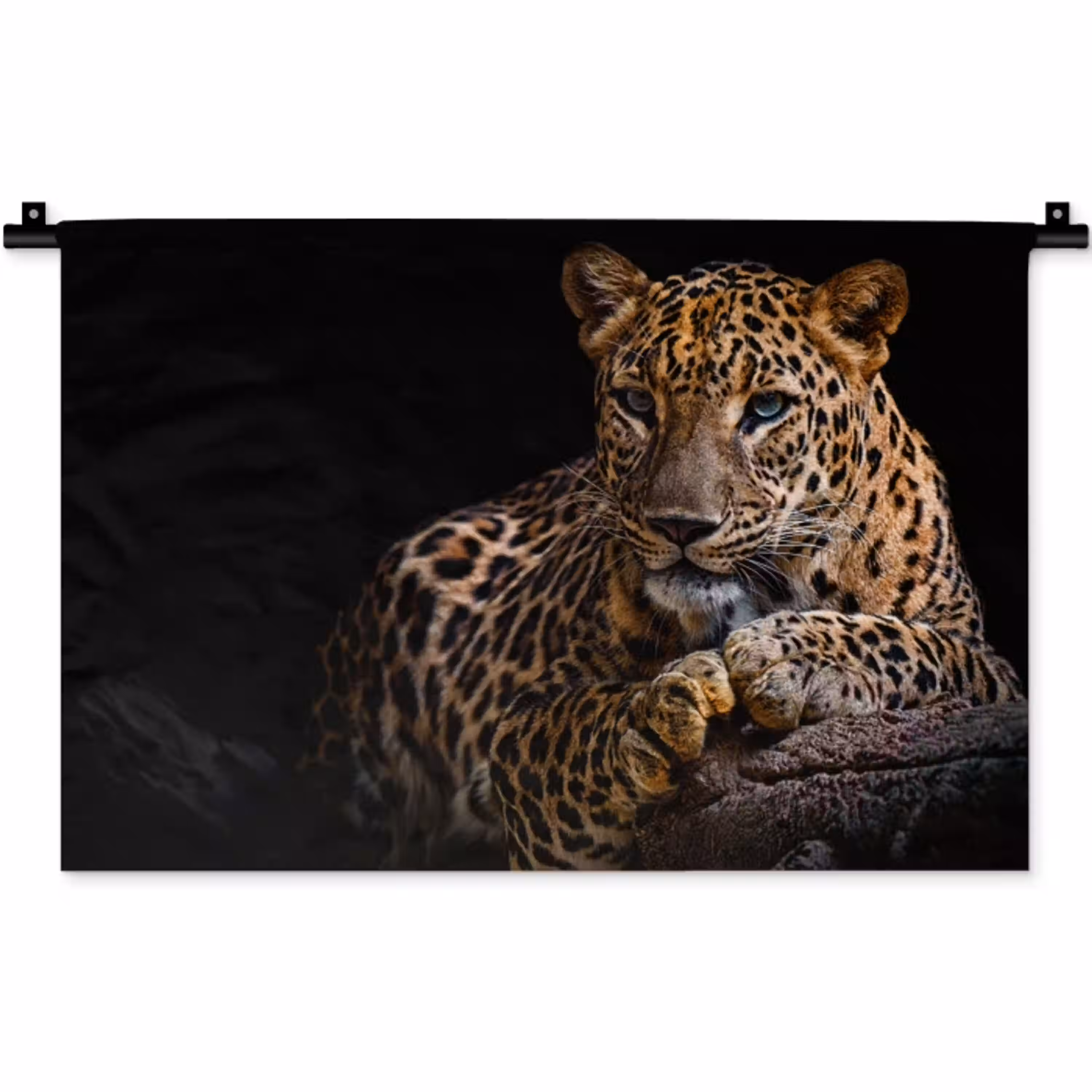 Wilde dieren - Panter - Portret - Zwart - Dieren Wandkleed katoen klein -zz3d