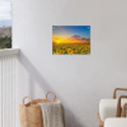 Uitgestrekt zonnebloemveld bij zonsondergang tuinposter los doek klein -sfeer8