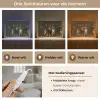 De Nachtwacht - Kunst - Oude meesters - Rembrandt Light Box met kabel (Tafellamp) klein -USP_lichtkleurNL