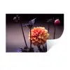 Bloemen - Chrysant - Macro - Planten Muursticker klein -3d
