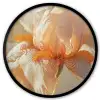 Close up - Oranje - Iris Fotolijst rond zonder passe partout klein -3d