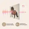 Paard - Galop - Energie PET vilt klein -USP_NL