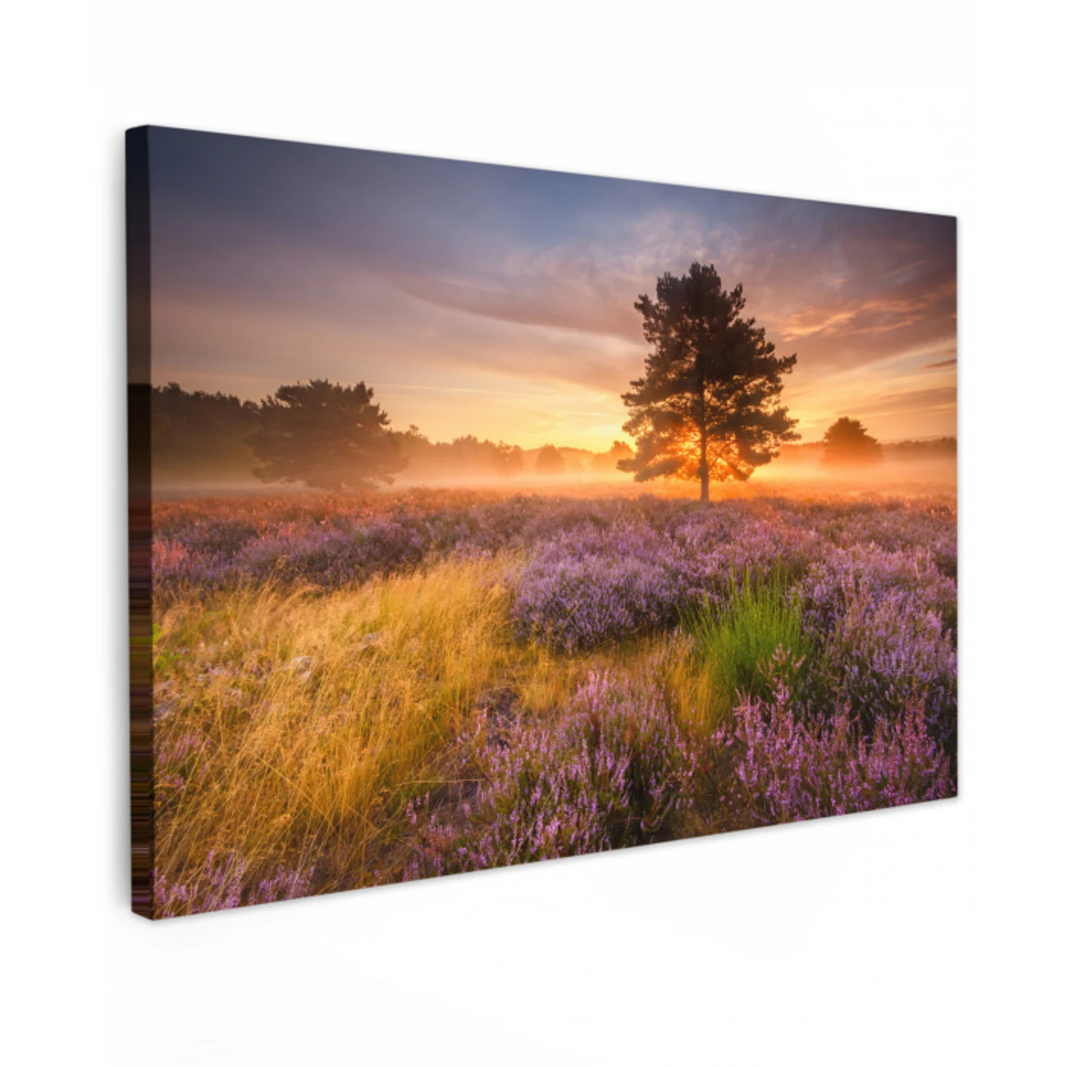 Heidelandschap met een boom canvas 2cm klein -z3d