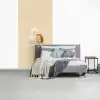Alpaca - Egel - Bruin - Knuffelen fotobehang vinyl groot -slaapkamer