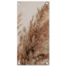 Gedroogd pampasgras dichtbij tuinposter los doek klein -3d