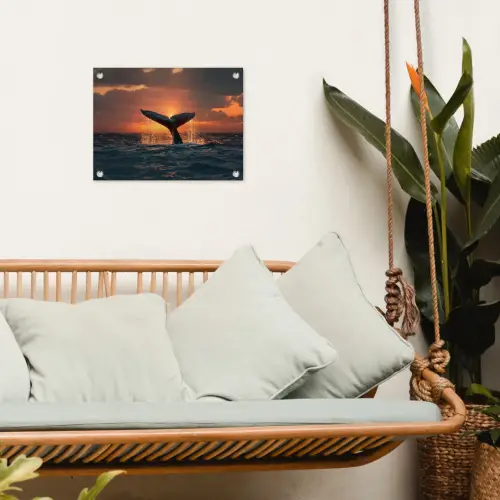 Walvis staart - Water - Zonsondergang tuinposter los doek klein -sfeer7