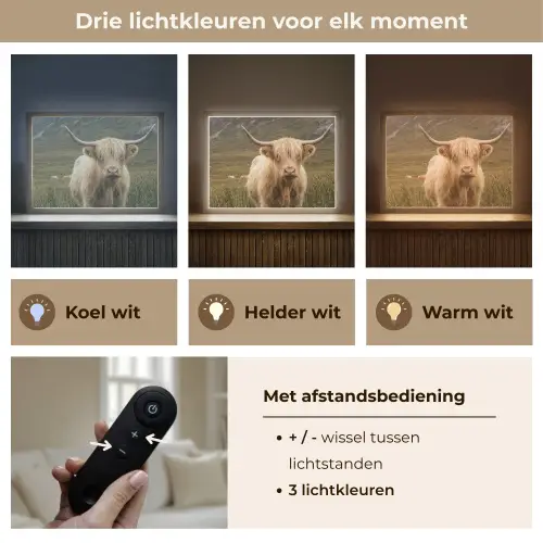 Schotse hooglander - Bergen - Grasveld Light Box met batterij (Wandlamp) middel -USP_lichtkleurNL
