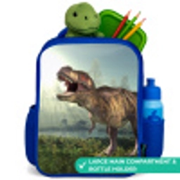 Dino - Gras - Tekening - Kinderen - Jongens Kinderrugzak - Blauw middel -inhoud_UK