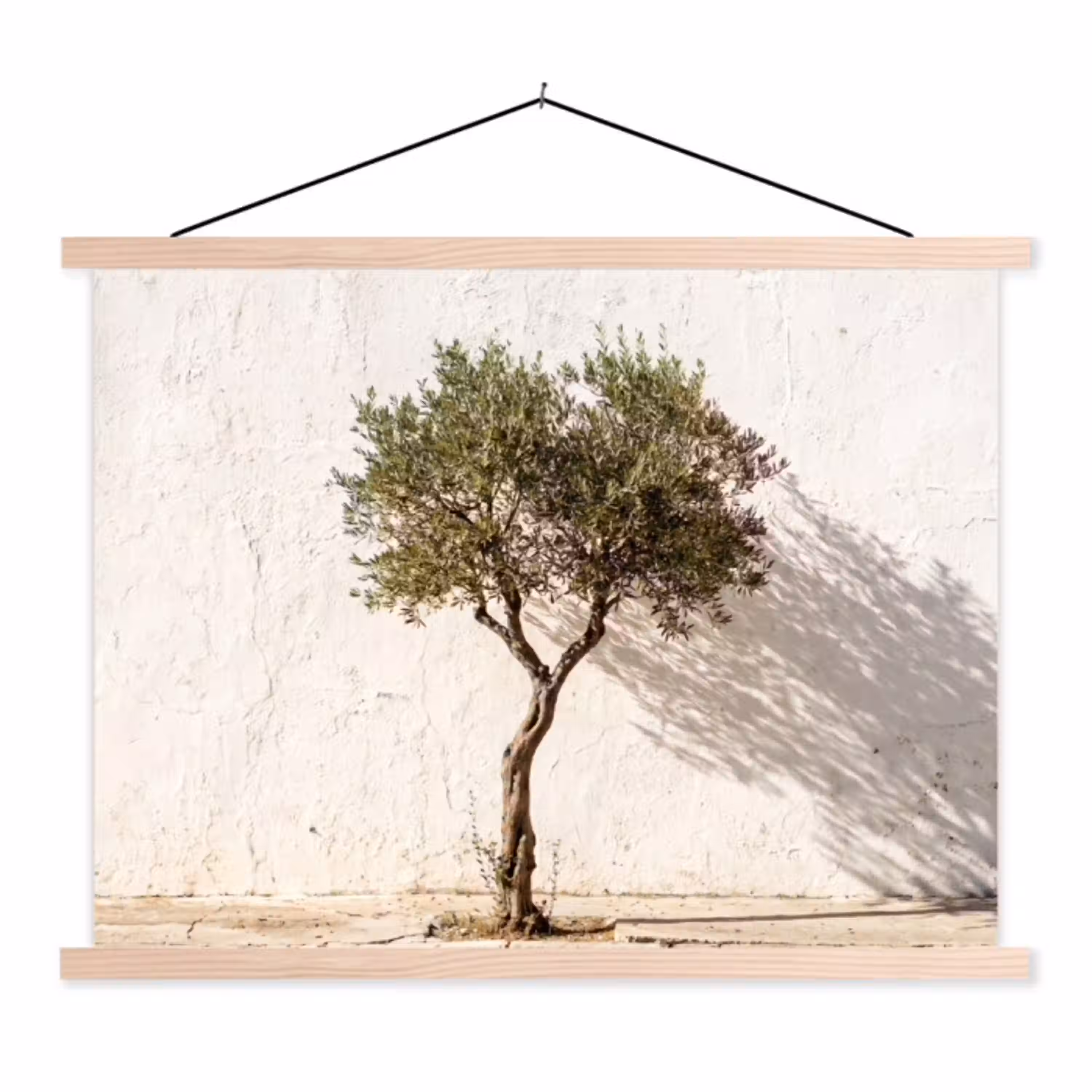 Olijfboom - muur - wit textielposter latten blank klein -3d