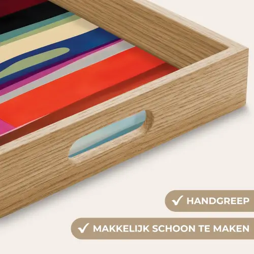 Kleurbanen - Verticaal - Kleurrijk Dienblad Rechthoek middel -USP_HandgreepNL