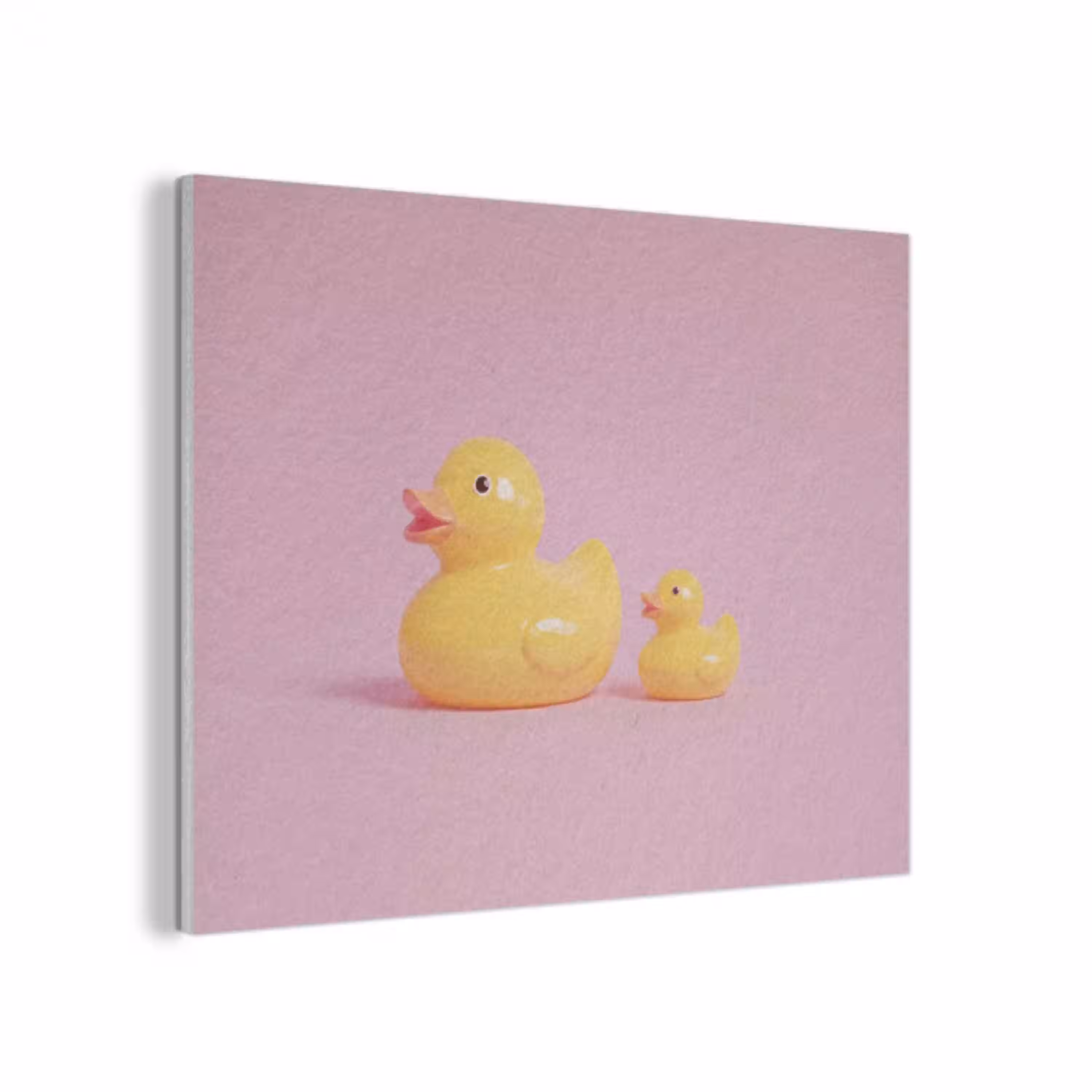 Eendjes - Vrolijk - Roze PET vilt klein -3d