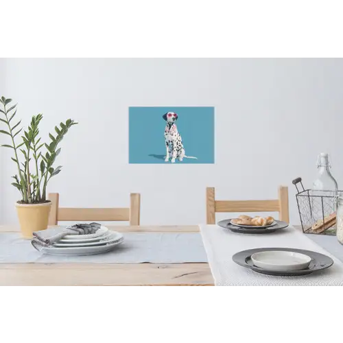 Dalmatiër - Zonnebril - Blauw Muursticker klein -eettafel
