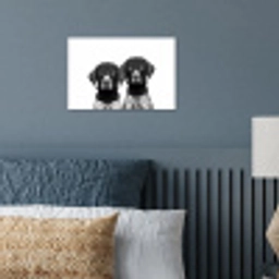 Honden - Bivakmuts - Zwart - wit poster papier klein -sfeer2