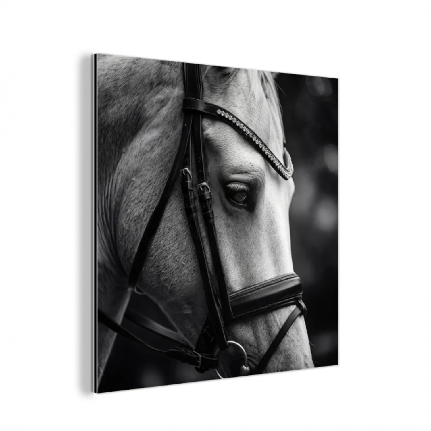 Paard - Schimmel - Portret aluminium wit klein -3d
