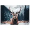 Hert - Dieren - Landschap - Winter - Sneeuw poster papier klein -3d