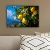 Citroenen - Bladeren - Blauwe lucht canvas 2cm klein -sfeer3