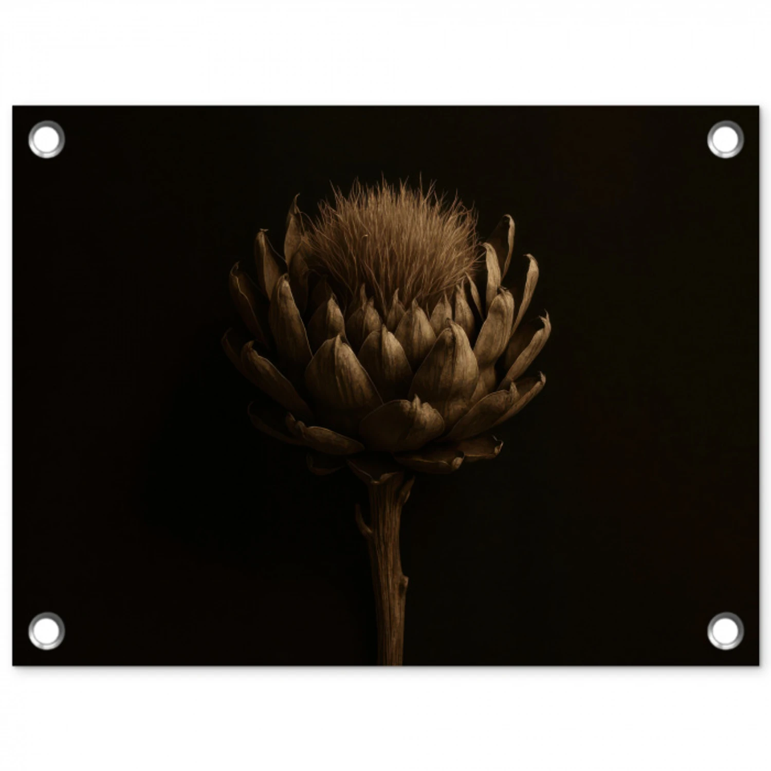 Donkerbruin - Bloem - Textuur - Artisjok tuinposter los doek klein -3d