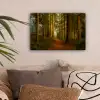 Bos - Natuur - Bomen - Landschap - Bladeren canvas 2cm klein -sfeer1