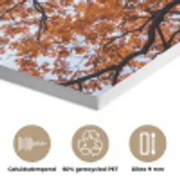 Boom - Bladerdak - Herfst - Oranje - Sfeervol PET vilt klein -closeup_NL