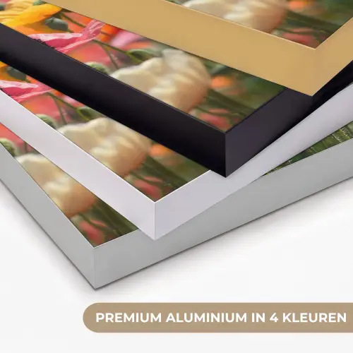 Bloemenveld - Klaprozen - Kleurrijk Textielframe zwart klein -USP_kleurenNL