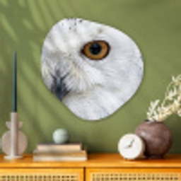 Sneeuwuil - Oog - Wildlife - Wit Wandcirkel Organisch Aluminium middel -sfeer2