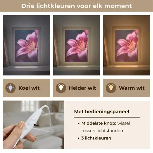 Roze - lelie - Dauwdruppels Light Box met kabel (Tafellamp) klein -USP_lichtkleurNL