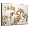 Droogbloemen - Beige - Wit - Planten Textielframe zwart klein -3d