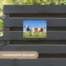 Koeien in de Weide tuinposter los doek klein -sfeer3