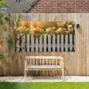 Rozen - Hek - Zonlicht Tuinposter op houten frame 2 cm dik xxl -sfeer4