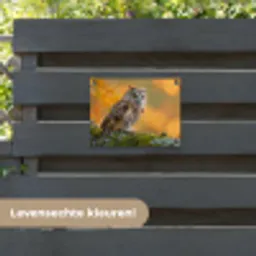 Bosuil op Mosbegroeide Tak tuinposter los doek klein -sfeer3